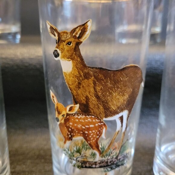 West Virgina Glass West Virginia Wildlife Woodland Animals 11oz Glass Set Of 5 - Picture 6 of 9